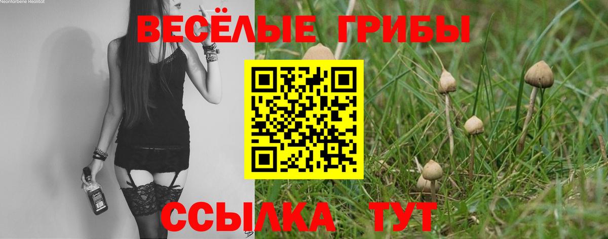 Псилоцибиновые грибы Psilocybe  Вход с VPN  Псилоцибиновые грибы GOLDEN TEACHER  Кировск 