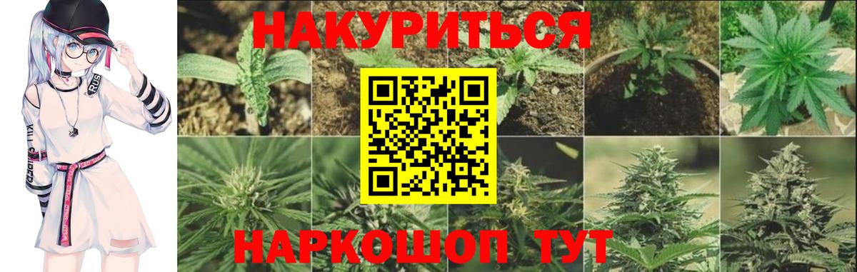 Бошки Шишки план Кировск